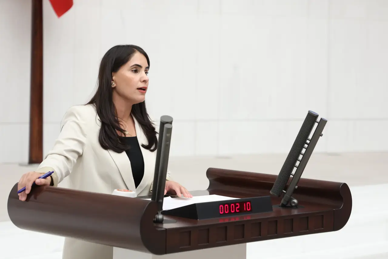 Nevroz Uysal Alsan, Member of Parliament from the DEM Party, answered our questions